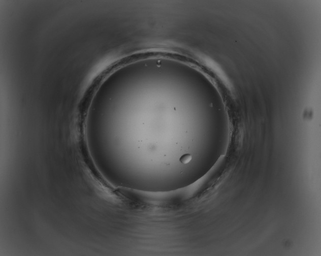 X0000096701360200802121153