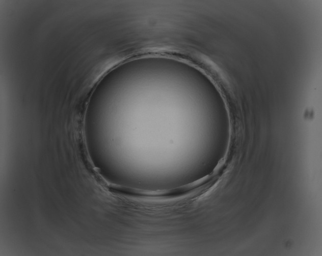 X0000096701361200802121153