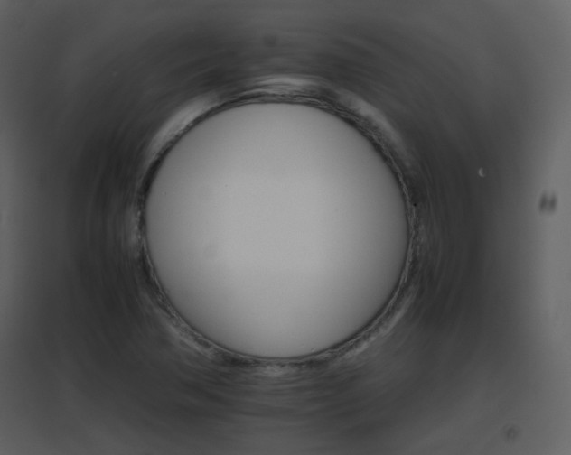X0000096701362200802121153