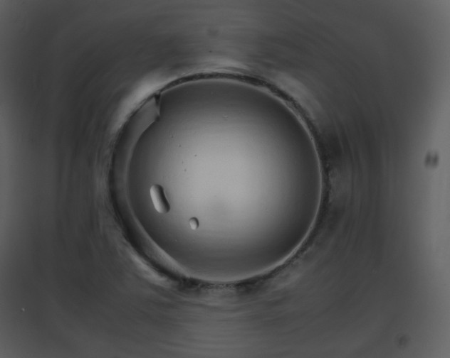 X0000096701363200802121153