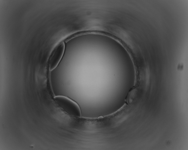 X0000096701364200802121153