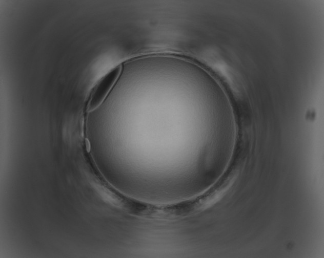 X0000096701365200802121153