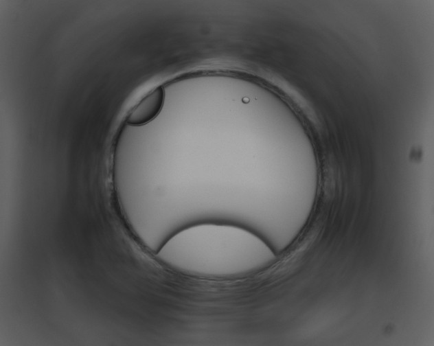 X0000096701366200802121153