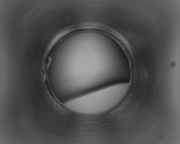 X0000096701368200802121153