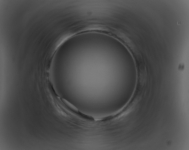 X0000096701369200802121153