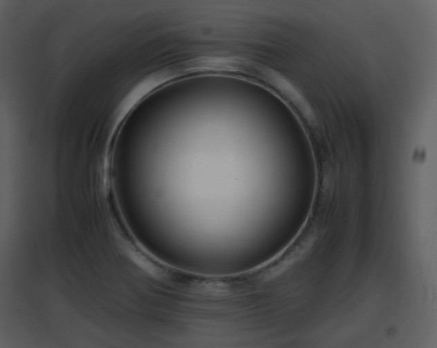 X0000096701370200802121153