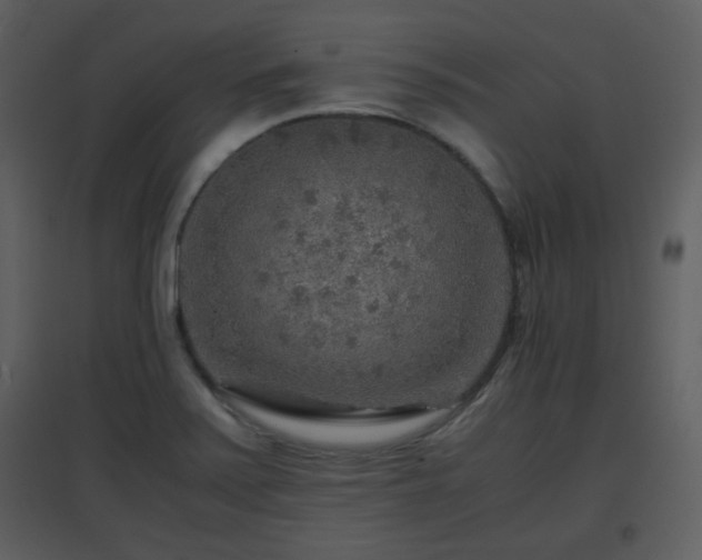 X0000096701371200802121153