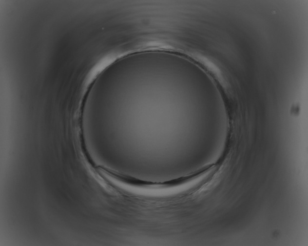 X0000096701373200802121153