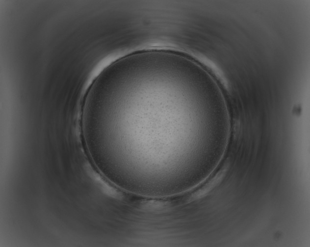 X0000096701374200802121153