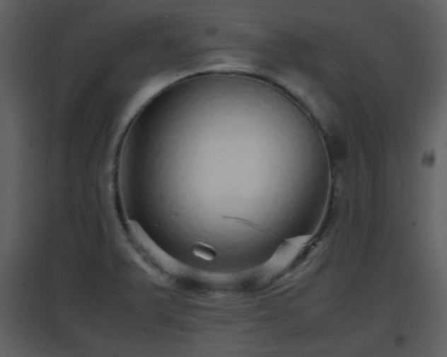 X0000096701375200802121153