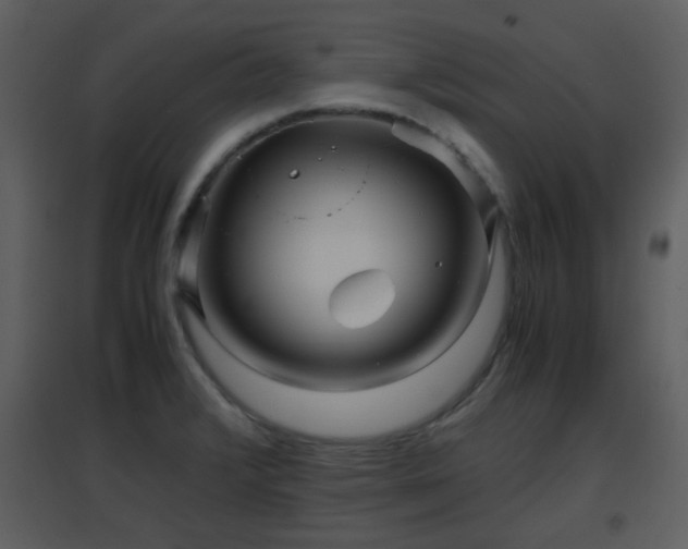 X0000096701376200802121153