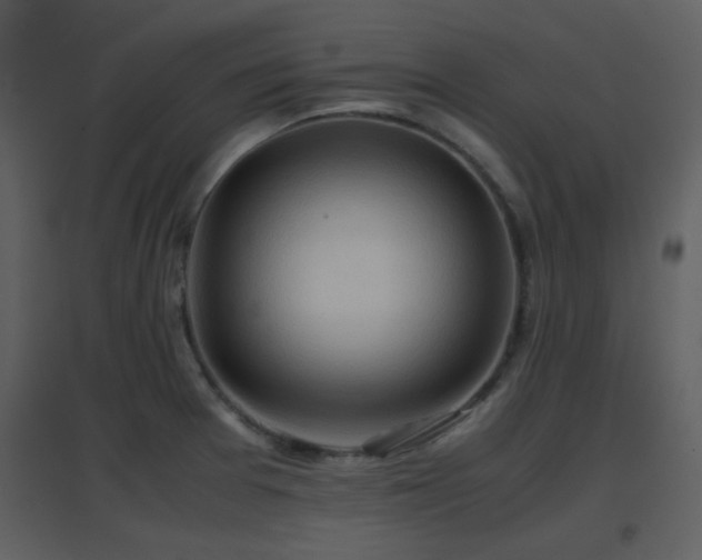 X0000096701377200802121153