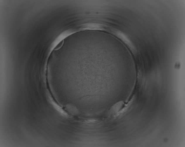 X0000096701378200802121153