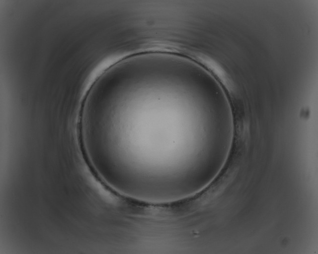 X0000096701379200802121153