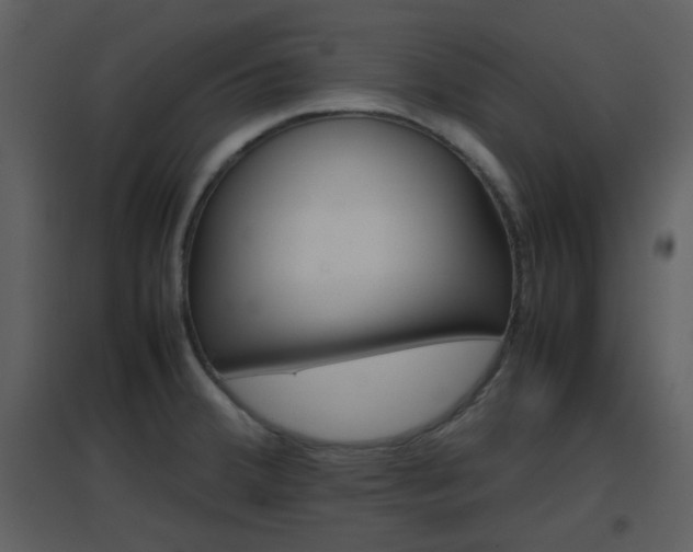X0000096701380200802121153