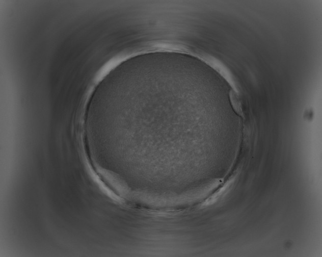 X0000096701381200802121153