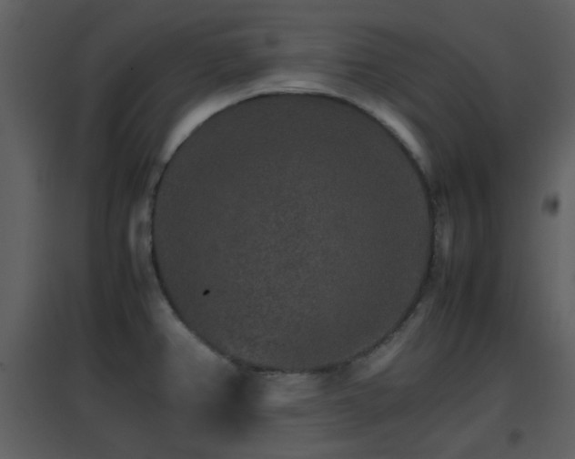 X0000096701382200802121153