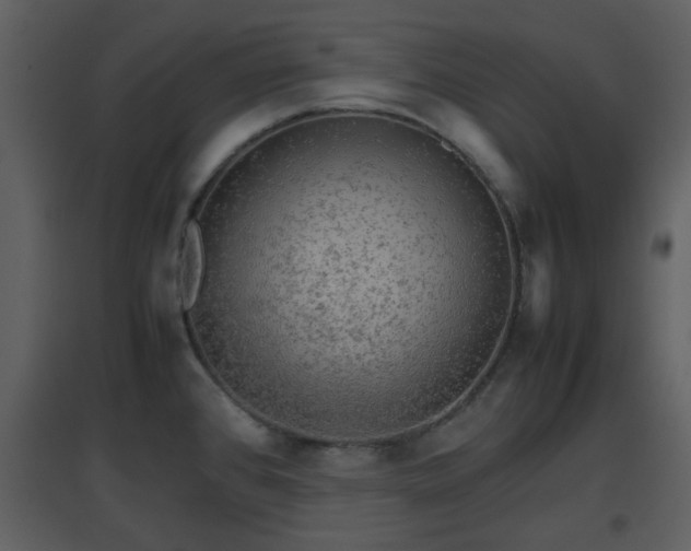 X0000096701384200802121153