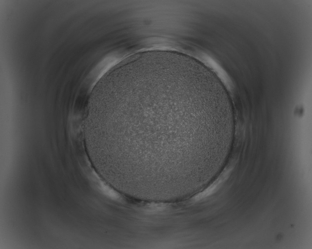 X0000096701385200802121153