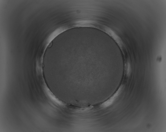 X0000096701386200802121153
