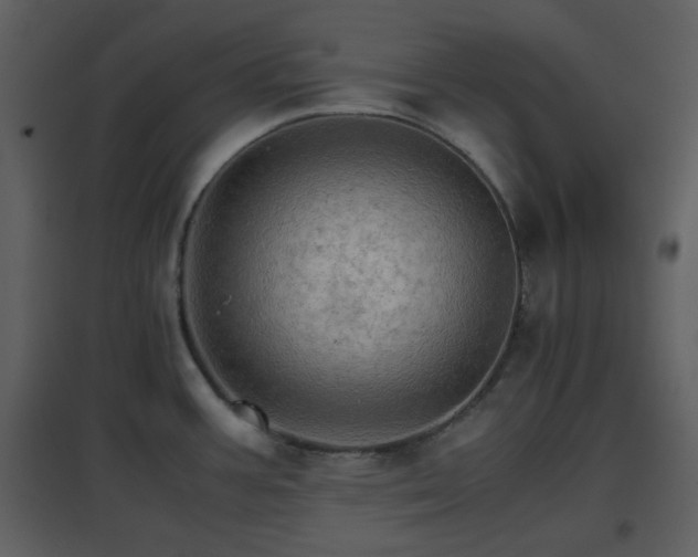 X0000096701387200802121153