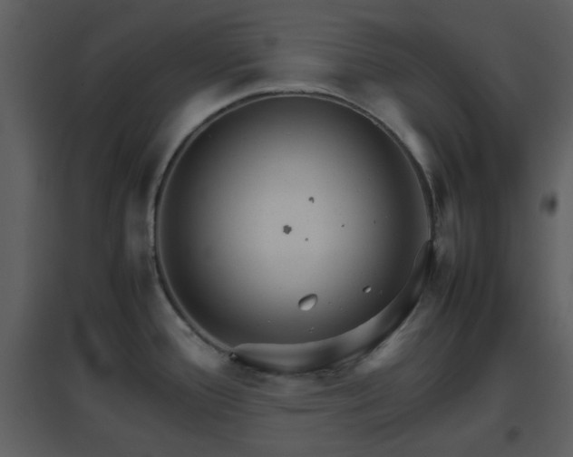X0000096701388200802121153