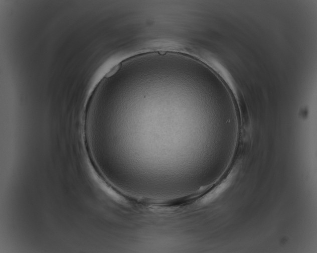 X0000096701389200802121153