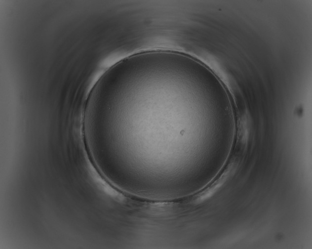 X0000096701390200802121153