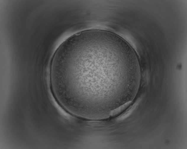 X0000096701391200802121153