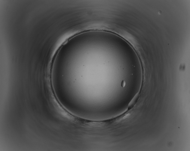 X0000096701392200802121153
