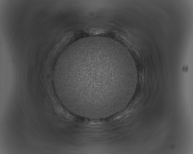 X0000096701393200802121152