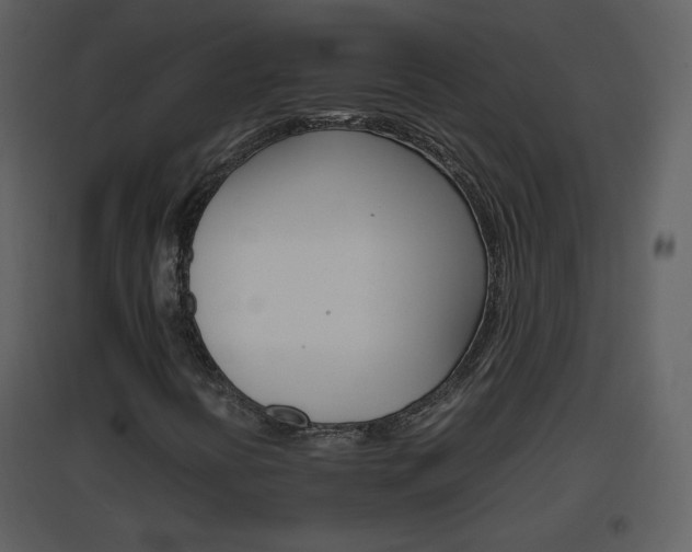 X0000096701394200802121152