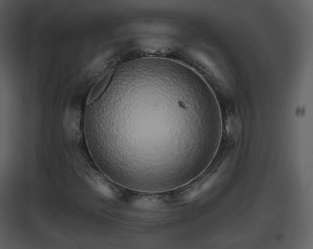 X0000096701396200802121152
