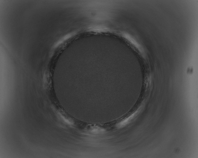 X0000096701398200802121152