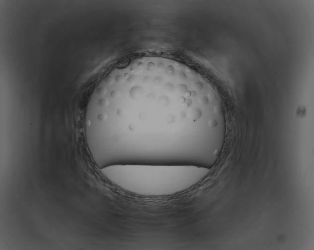 X0000096701399200802121152