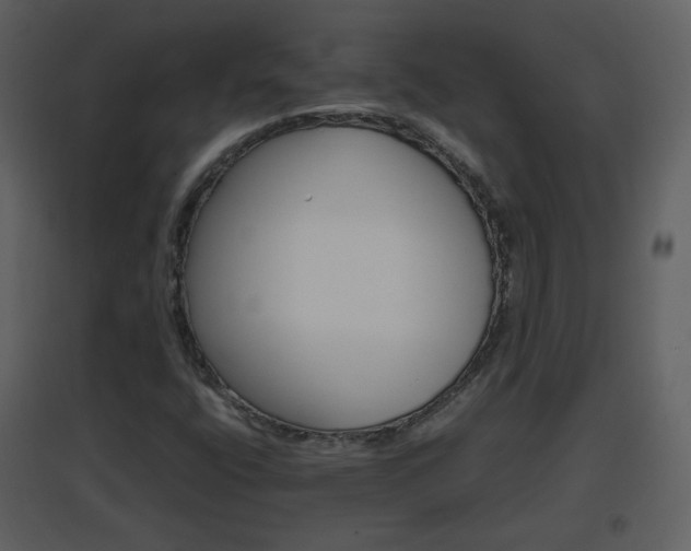X0000096701400200802121152