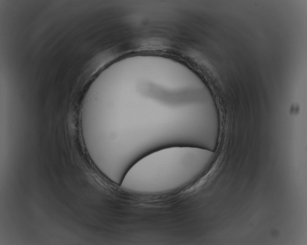 X0000096701401200802121152