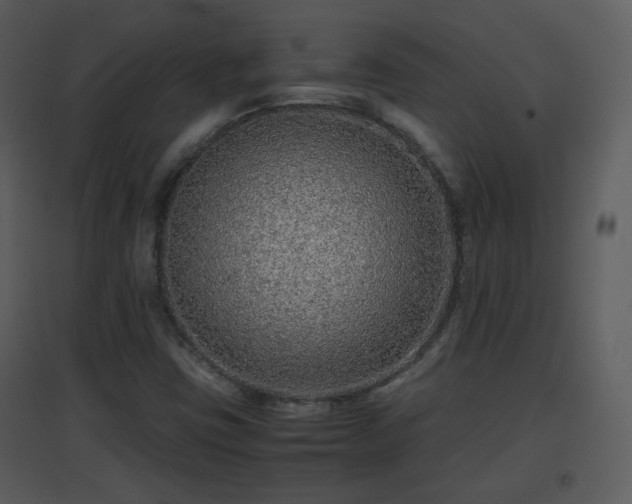 X0000096701403200802121152