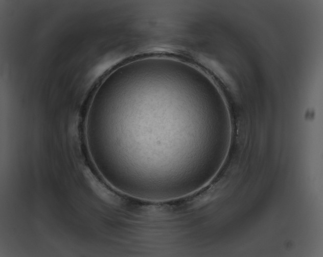 X0000096701404200802121152