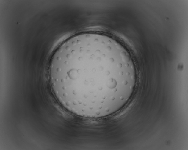X0000096701405200802121152