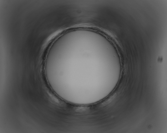 X0000096701406200802121152