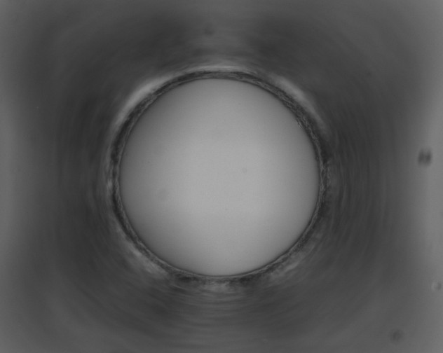 X0000096701408200802121152