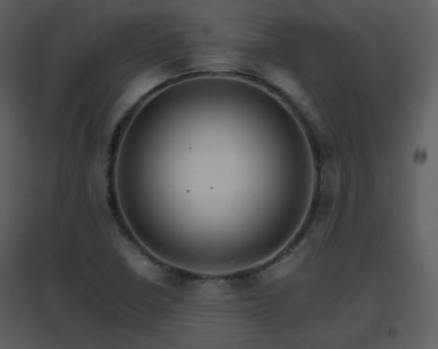X0000096701410200802121152