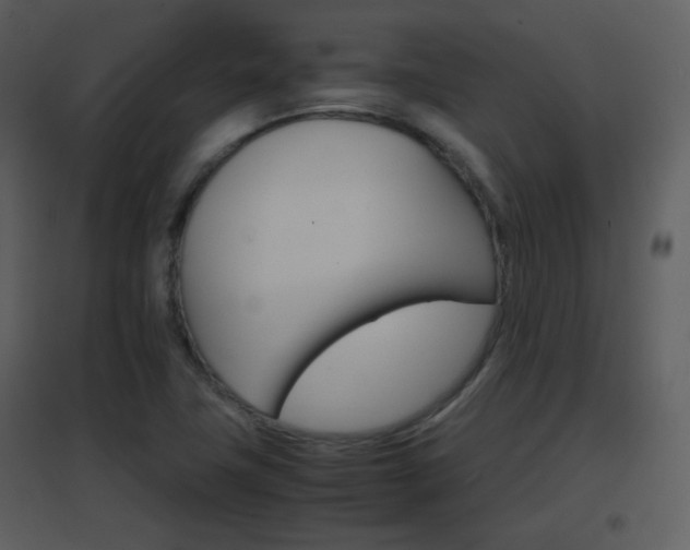 X0000096701411200802121152