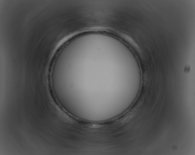 X0000096701412200802121152
