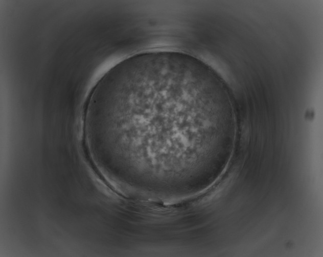X0000096701413200802121152