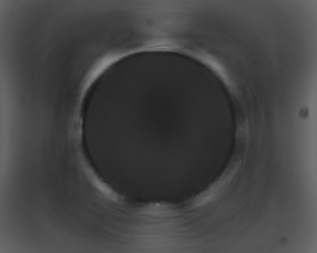 X0000096701414200802121152