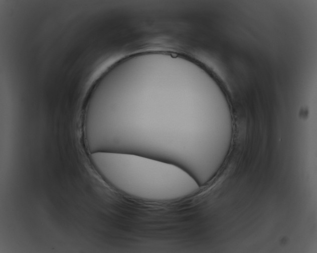 X0000096701415200802121152