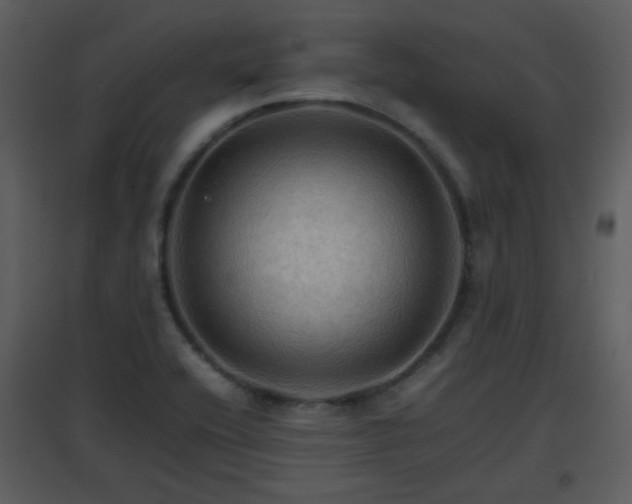 X0000096701416200802121152