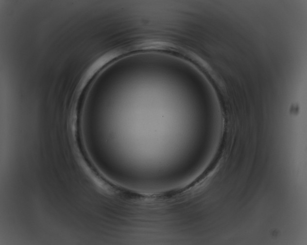 X0000096701418200802121152